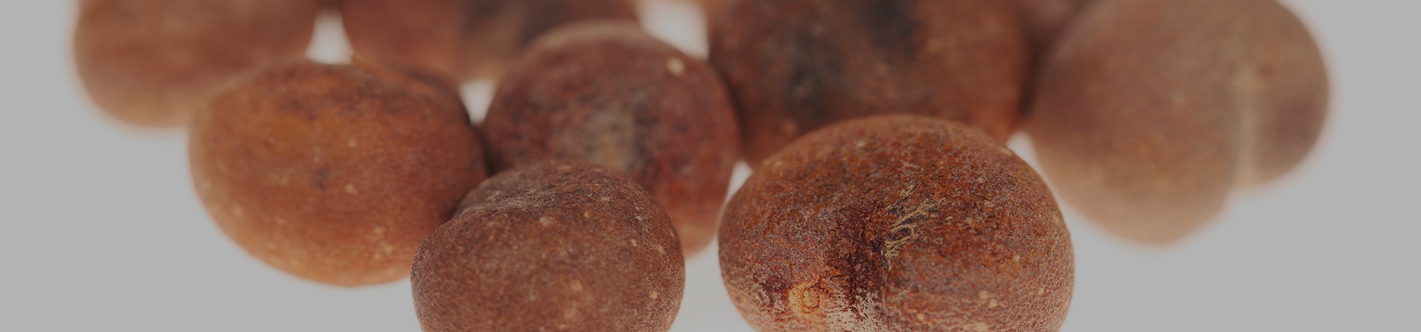 Baobab fruit — rich in vitamins and minerals